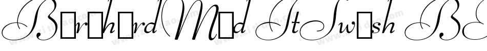 BernhardMod ItSwash BT Italic Swash字体转换